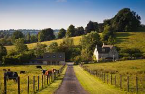 Family in Countryside