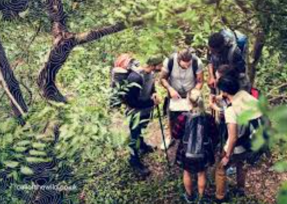 Outdoor Team Activity